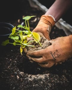 Portfolio 05 240x300